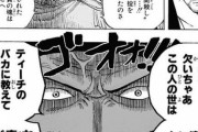シャンクス「黒ひげはやべーからエース止めろ」白ひげ「知るか俺ァ白ひげだァ！！ww」