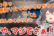 Vtuber 【夏色まつり】「ホロのコラボ断ってほかの人とコラボしてるっていわれたのが本当に嫌だったので憶測でお話するのはやめてください。誘われてません」←少数派の妄想にお気持ちする頻度高くね？