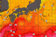 日本を囲む水温30度の海、異変続出…将来は全国が危険地域に！