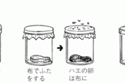 1668年の科学者「コバエは無から発生するんやろか…どうやって調べたらええんやろか…せや！」