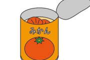 【画像】みかんの缶詰工場、レベチｗｗｗｗｗｗｗｗｗｗｗｗｗｗｗ