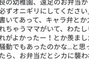 韓国人「日本の幼稚園が、子供たちのお弁当をおにぎりで統一する理由がマジでヤバ過ぎた‥（ﾌﾞﾙﾌﾞﾙ」→「そんな理由だったのですか‥」　韓国の反応