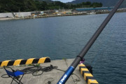 東北で海釣り