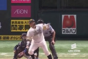 嶺井博希さん、移籍後初ホームランを放つ　綺麗なバット投げも健在！