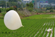 【韓国軍】 北朝鮮、ごみ風船新たに350個