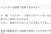 【朗報】蚊がいなくなるスプレー、凄すぎる