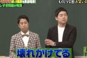 【悲報】他の芸人を散々バカにした挙げ句に一瞬で消えたウエストランドとか言うコンビｗｗｗ