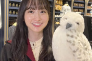 【動画】一ノ瀬美空、またも『THE TIME,』単独ロケに抜擢！今度はワーナーブラザース スタジオツアー東京でハリー・ポッターを取材【乃木坂46】