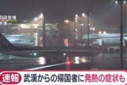 【速報】武漢を出発したチャーター機、搭乗者2人が発熱と咳　隔離ブースへ