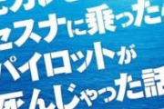 【衝撃】映画「元カレとセスナに乗ったらパイロットが死んじゃった話」がタイトル変更ｗｗｗｗｗ