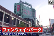 フェンウェイパークのチケット、たっか！