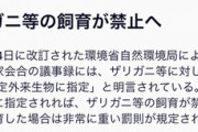 11月からザリガニ飼うと懲役1年＆罰金100万円なのか･･･(´・ω・｀)
