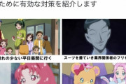 いい歳してプリキュアにハマるようなオタクはまともじゃないと言われ始めるｗｗｗｗ