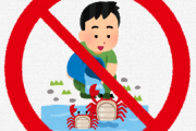 生きた上海ガニを輸入したら違法らしいけど、日本で野生化して繁殖してくれたら嬉しくね？