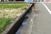 愛媛で悲劇！水路に転落した女子高校生の事故