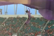 アメフトの試合中、猫が上階デッキから落ちて宙づりになるアクシデント発生→観客らの機転でまさかの結末に