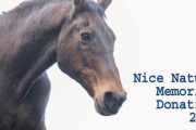 【スゲェ】『ナイスネイチャ・メモリアルドネーション 2024』開始1日経たずに目標金額2500万円を達成！！
