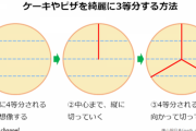 不良は「ケーキを3等分に切れない」理由クソワロタｗｗｗｗｗｗｗｗｗｗｗｗｗ