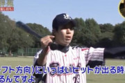 【画像】彡(ﾟ)(ﾟ)「山田の打撃理論か...きっとすごいんやろなぁ...」