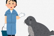 CM「上がり症の自分には水族館でアザラシのお世話が向いていると思いました」←は？？？