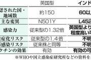 インド型感染1週間で3倍以上　専門家「英国型から置き換わる可能性」
