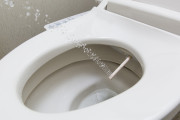 海外「日本のトイレはやはり最高だ」外国人がウォシュレットを使うにあたって知っておくべきこと