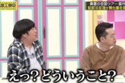 なんでや…堀未央奈ちゃんのSwitchがなぜか歪んでしまう…※gifあり【乃木坂46…