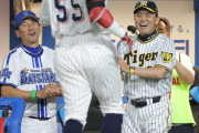 阪神・岡田監督　壮絶な乱打戦に「めちゃくちゃやん」「（ボール）飛ぶよな。ピッチャーはたまらん」