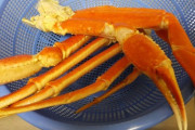 カニを家で食うやつの気持ちがわからない