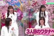 コロチキ・ナダルさん『大好き！櫻坂46 』でワタナベさんとの共演をお漏らししていたｗｗ