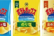 湖池屋「ポテチのうすしお味とリッチコンソメ味って名前ダセえな。改名するわ」
