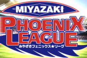 フェニックスリーグ順位表wwwwwnwwww