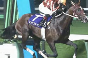【競馬】地方最強馬・ミックファイアがチャンピオンズカップに登録へ