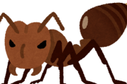 【画像なし】ヒアリ（火蟻）とかいう一時期話題になった外来生物