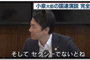 進次郎「また良いこと思い付いちゃった」 使い捨てスプーン・歯ブラシなどプラ製品の有料化