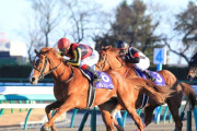世界の競馬史上「最も偉大な名馬」ランキングトップ10が発表される……