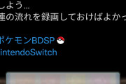 【悲報】ポケモンダイパリメイクさん、パールの途中でダイヤモンドのシナリオに変わるバグ発生ｗｗｗｗｗｗ
