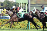【京成杯AH】超大波乱！13番人気7歳牝馬ホウオウラスカーズが重賞初制覇
