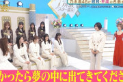 この弓木ちゃんのコメント力ｗｗｗ【乃木坂46】