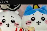 【画像】ちいかわファン「熊本イオンモールの献花台にあったちいかわぬいぐるみ、処分されるらしいので救出してきました！」