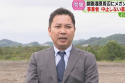 【大阪】日本エコロジー社　北海道釧路市からの再調査要請を無視してメガソーラー開発工事を開始　オジロワシのねぐらの木が伐採される