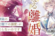 ラノベ「絶望令嬢の華麗なる離婚」予約開始！どん底の絶望から幸福の絶頂まで目まぐるしく変わるエリザベスの第二の人生は！？