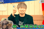 【グラブル】次回ぐらちゃんゲストはベルゼバブ役の小西克幸さん！このタイミングの登場はバブさん石実装フラグか単にバブ・イールの塔があるからか果たして…
