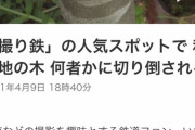指原莉乃「なんで原宿に撮り鉄がいるの？」　撮り鉄「！！！」ｼｭﾎﾟﾎﾟﾎﾟﾎﾟｯ