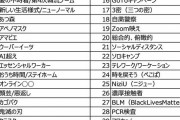 【悲報】今年の流行語大賞、なんか腑に落ちないｗｗｗｗｗｗｗｗｗ