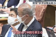 【国会】立憲・ヨシフ議員 「外交努力で中国抑えるべき。何か動きがあっても米軍が動かない交渉を」