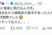 【悲報】電車に飛び込んだ女性、鉄道会社から「補償金」を請求され詰んでしまう…