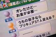 【画像】詐欺師「俺だけど、金が必要…」母親「ふーん、ほなプリキュア37人言ってみい」