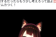 【悲報】ホロライブの大物リスナーさん、謝罪！「課金自慢ウザイ」と愚痴っただけなのに・・・！！！！