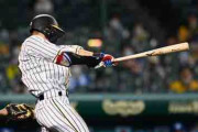 阪神・糸原が七回に適時打　今季初の猛打賞